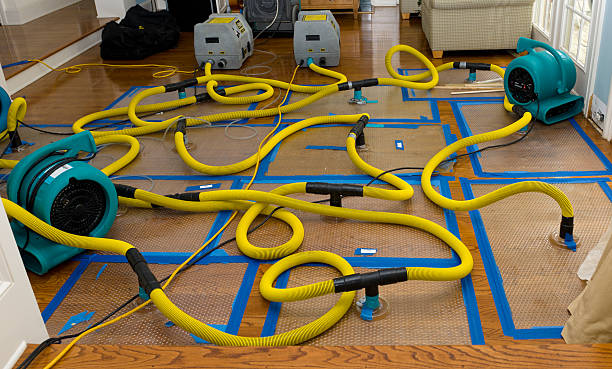 Professional Water Damage Repair technician working in West Warren, MA